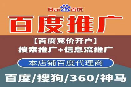 百度竞价SEM案例：揭秘高效广告投放技巧